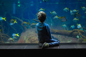 Sea Life Berlin